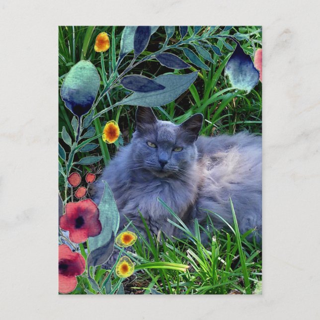 Grey Fluffy Cat in Garden with Flowers Postcard (Front)