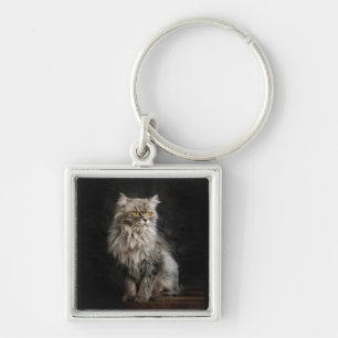 Grey Fluffy Cat  Key Ring