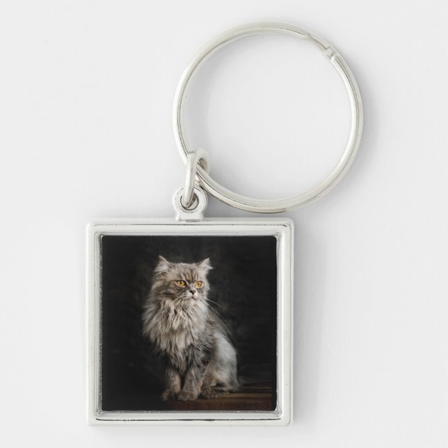Grey Fluffy Cat  Key Ring (Front)