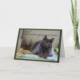 Grey Fluffy Cat on Chair Card