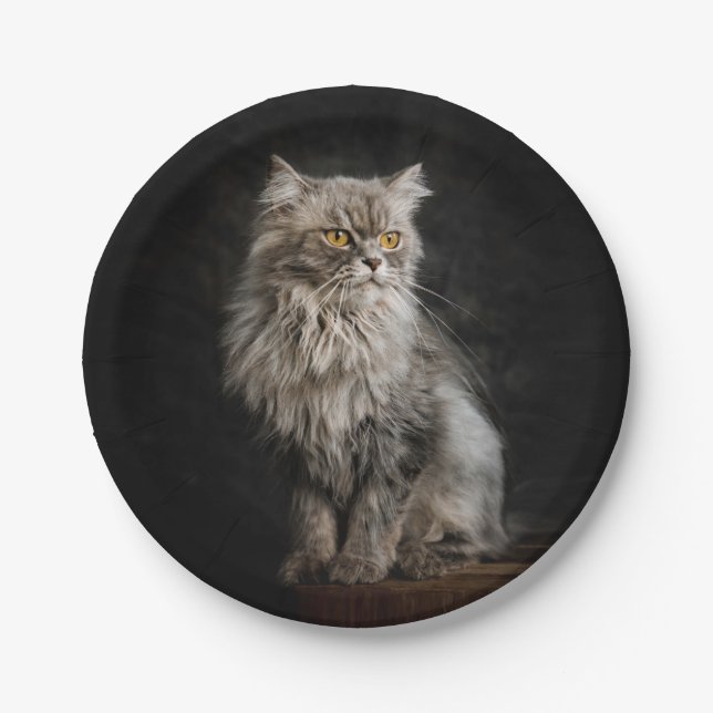 Grey Fluffy Cat  Paper Plate (Front)