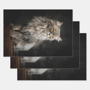 Grey Fluffy Cat  Wrapping Paper Sheet