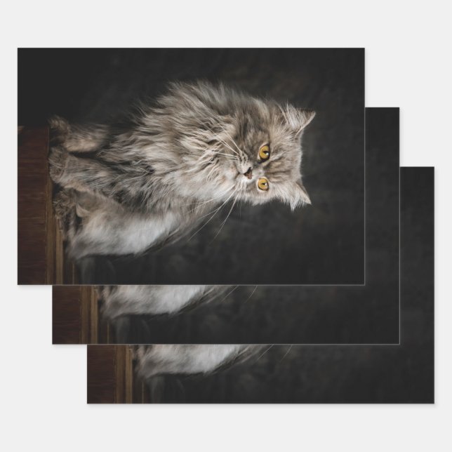 Grey Fluffy Cat  Wrapping Paper Sheet (Set)