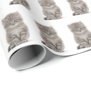 Grey Fluffy Kitten On White Wrapping Paper