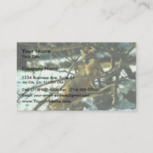 Grey Fox Business Card
