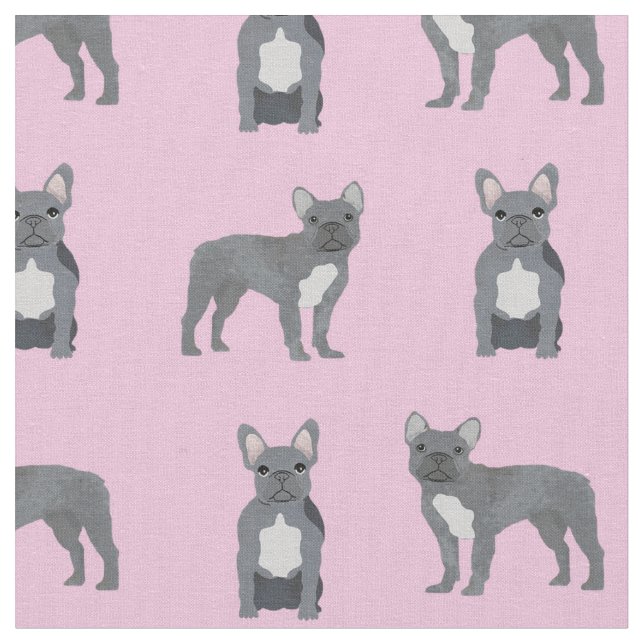 Grey French Bulldog on Pink Fabric (Close Up)