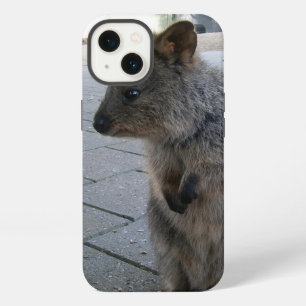 Grey Furry Australian Quokka, iPhone 13 Case