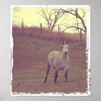 Grey Gallop
