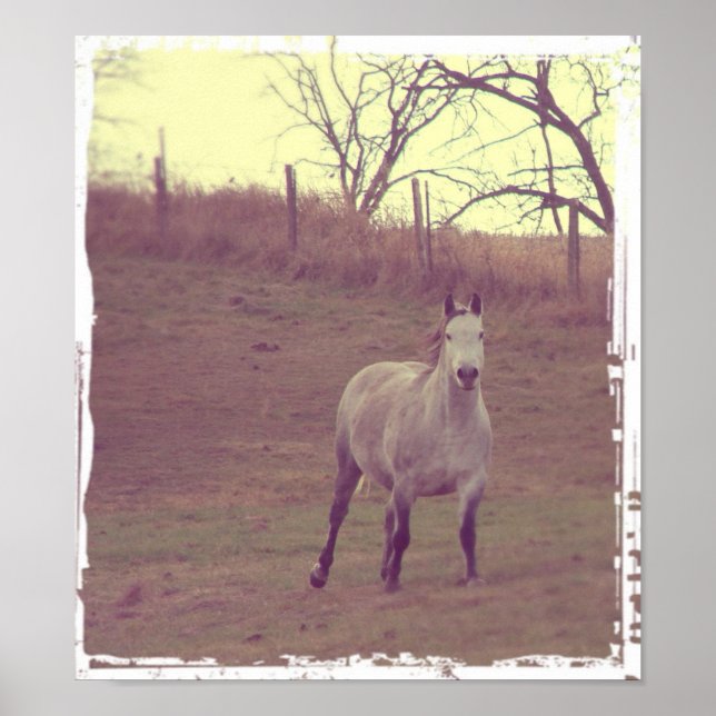 Grey Gallop Poster (Front)