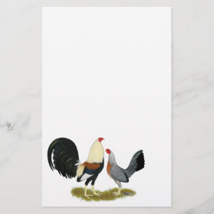 Grey Game Fowl Pair