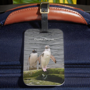Grey Gentoo Penguin Edinburgh Zoo Scotland  Luggage Tag