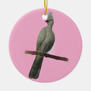 Grey-go-away bird pencil drawing ceramic tree decoration