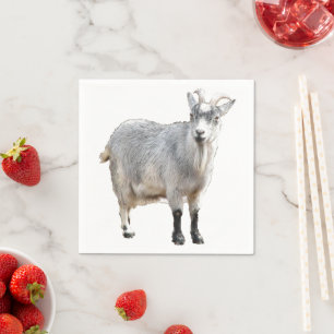 Grey Goat Farm Animal, Cute Nature Photography Napkin