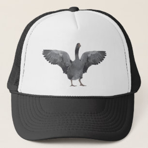 Grey goose cap