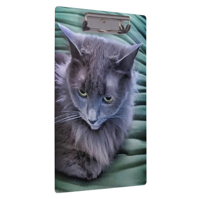 Grey Green Eyed Cat Clipboard (Right)