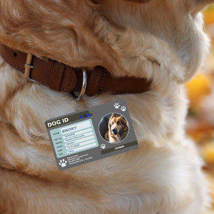 Grey Green Modern Dog ID Tag: Simple and Stylish ID Badge
