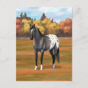 Grey Grulla Appaloosa Grullo Quarter Horse Stallio Postcard