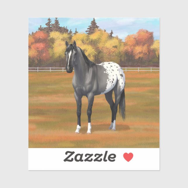 Grey Grulla Appaloosa Quarter Horse Stallion (Sheet)