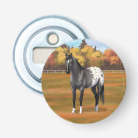 Grey Grulla Appaloosa Quarter Horse Stallion