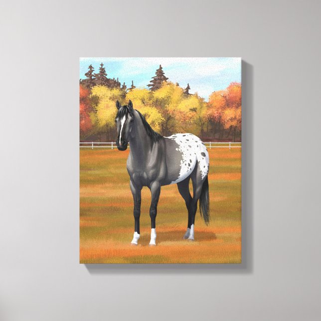 Grey Grulla Appaloosa Quarter Horse Stallion Canvas Print (Front)