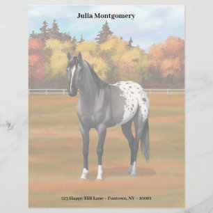 Grey Grulla Appaloosa Quarter Horse Stallion Custom Letterhead