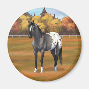 Grey Grulla Appaloosa Quarter Horse Stallion Magnet