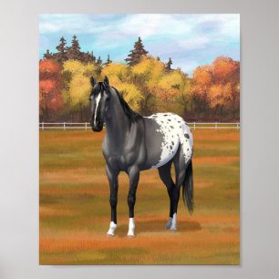 Grey Grulla Appaloosa Quarter Horse Stallion Poster