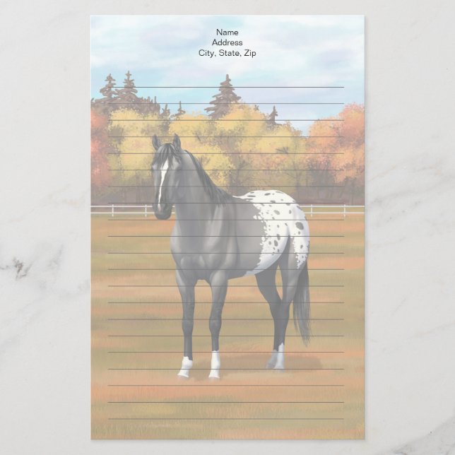 Grey Grulla Appaloosa Quarter Horse Stallion Stationery (Front)