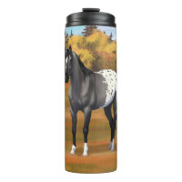 Grey Grulla Appaloosa Quarter Horse Stallion