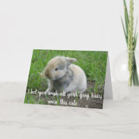 Grey Hair Hare Funny Age Bunny Birthday