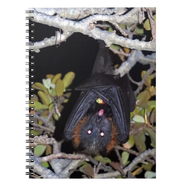 Grey-Headed Flying Fox Spiral Notebook (Front)