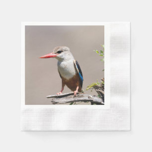 Grey-Headed Kingfisher Napkin