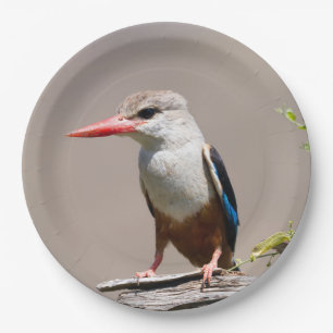 Grey-Headed Kingfisher Paper Plate