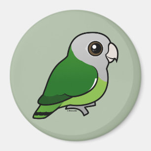 Grey-headed Lovebird Magnet