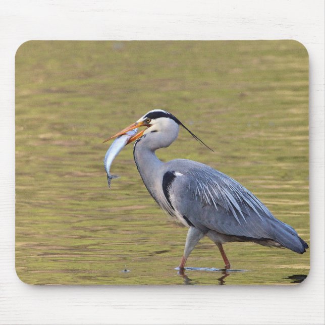Grey Heron Mouse Pad (Front)