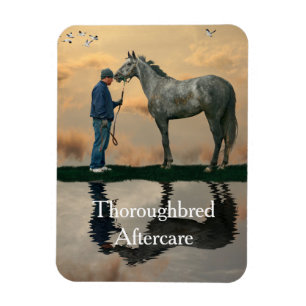 Grey Horse And Groom OTTB Flexible Magnet