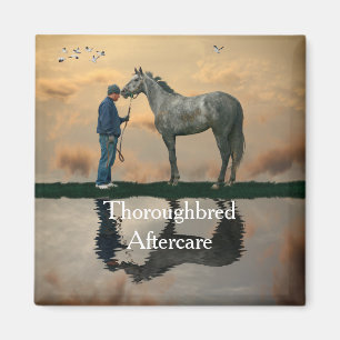 Grey Horse And Groom OTTB Magnet