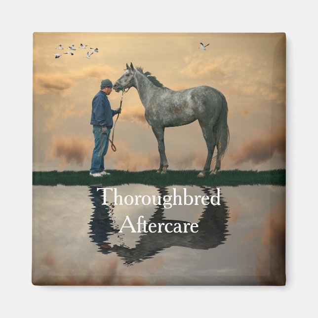 Grey Horse And Groom OTTB Magnet (Front)