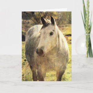 Grey Horse Birthday Card
