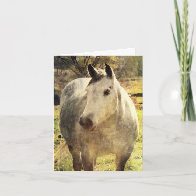 Grey Horse Birthday Card (Front)
