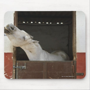Grey horse in a stable mouse pad