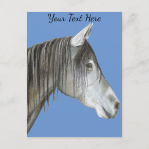 Grey Horse Postcard
