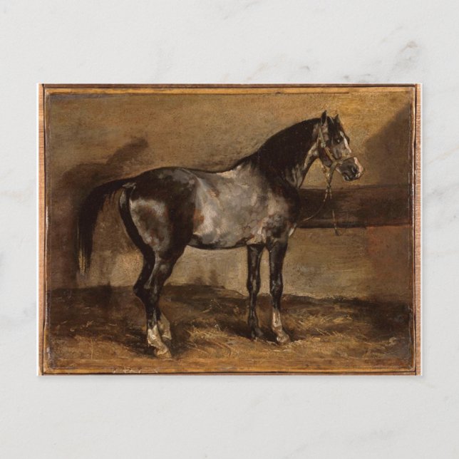 Grey horse rack by Theodore Gericault Postcard (Front)