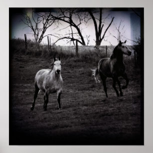 Grey Horses Gallop Poster