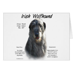 Grey Irish Wolfhound History 