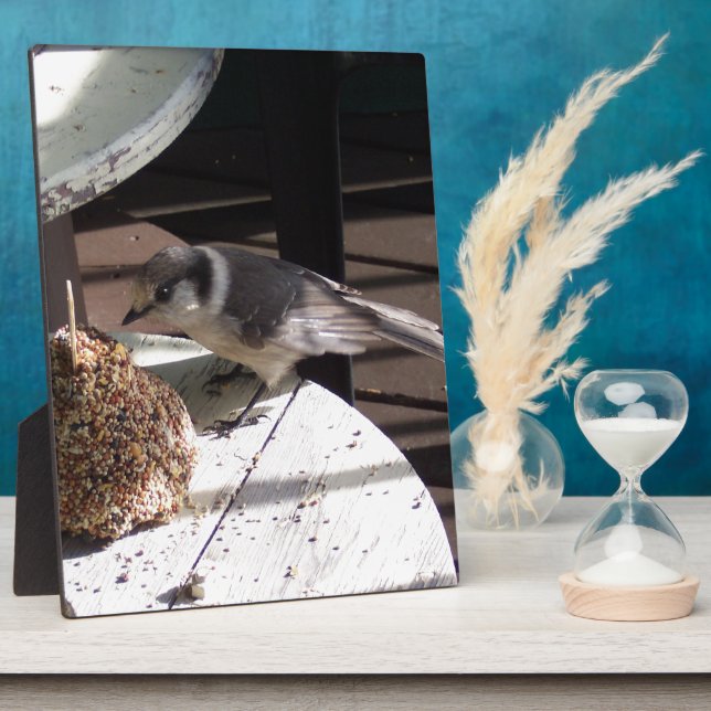 Grey Jay and Bell Photo Plaque (Side)