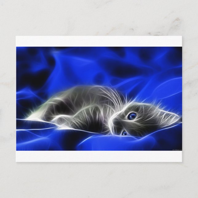 Grey Kitten Awakes Postcard (Front)