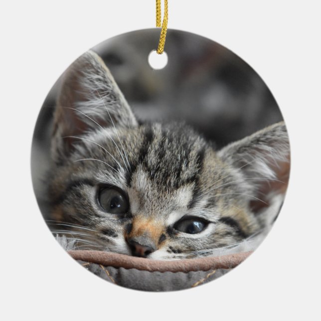 Grey Kitten Ceramic Tree Decoration (Front)