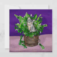 Grey Kitten in Bucket of Catnip  