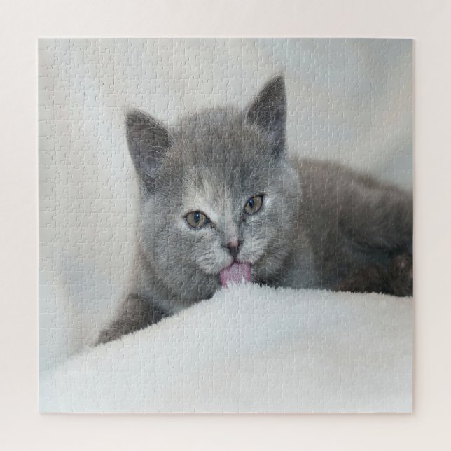Grey Kitten Licking Snow Jigsaw Puzzle (Vertical)